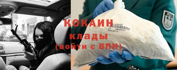 винт Инсар