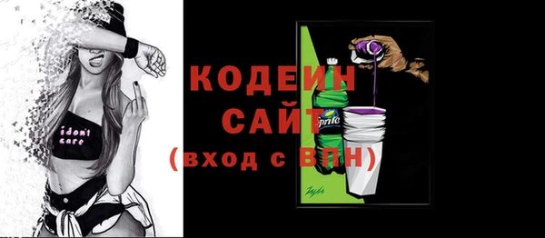 спайс Каменка