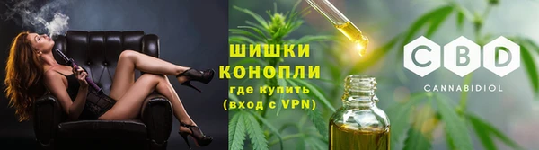 тгк Каменногорск