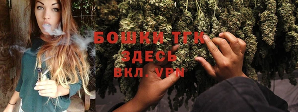 спайс Каменка