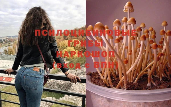 мескалин Инта