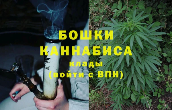 винт Инсар