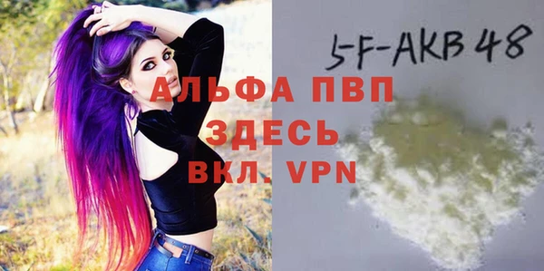 спайс Каменка