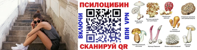где можно купить   Касимов  Галлюциногенные грибы GOLDEN TEACHER 